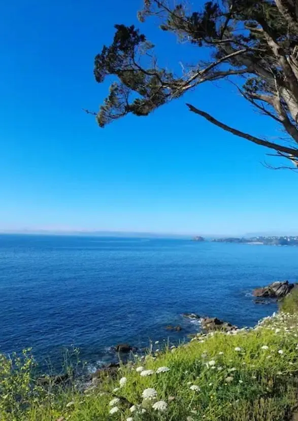 Maison Neuve Tres Proche De La Mer Plouzané